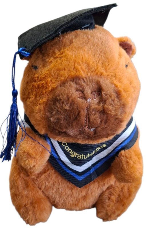 plushe capibara
